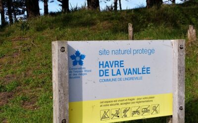 Le havre de la Vanlée, Lingreville, Manche, Basse-Normandie