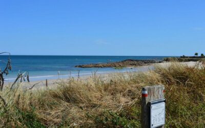 Le sentier des douaniers, Barfleur, Manche, Basse-Normandie
