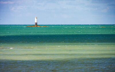 Le phare du Sénéquet, Gouville-sur-mer, Manche, Basse-Normandie