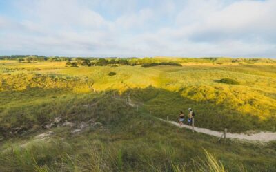 Les dunes d’Annoville, Annoville, Manche, Basse-Normandie
